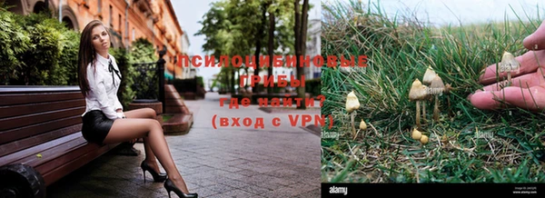 дмт Магадан